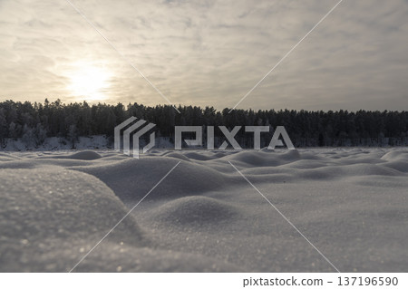 a big river with snowdrifts on the background of the sky and the forest in the winter season, deep uneven snowdrifts in the cold season on the river near the forest, sunset a big river with snowdrifts on the background of the sky and the forest in the winter season, deep uneven snowdrifts in the cold season on the river near the forest, sunset 137196590
