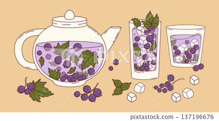 Herbal Blackcurrant Tea and Refreshing Iced Cubes, Berry Lemonade in Glass Teapot and Tumblers. Wellness and Healthy Lifestyle. Isolated Vector Illustration 137196676
