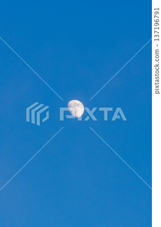 冬日清晨,一輪白月懸掛在夜空中 05 冬日清晨,一輪白月懸掛在夜空中 05 137196791