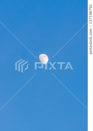 冬日清晨,一輪白月懸掛在夜空中 06 冬日清晨,一輪白月懸掛在夜空中 06 137196792