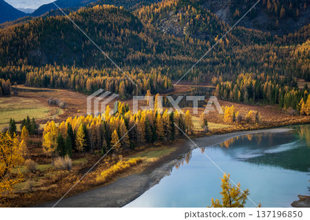 Scenic autumn landscape with trees, lake, and forested mountain backdrop Scenic autumn landscape with trees, lake, and forested mountain backdrop 137196850