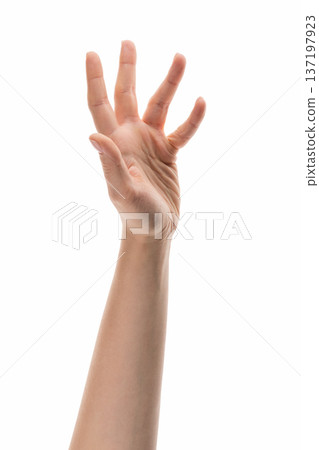 Young woman hand reaching isolated on white background Young woman hand reaching isolated on white background 137197923