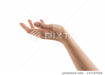 Young woman hand reaching or holding something isolated on white background Young woman hand reaching or holding something isolated on white background 137197926