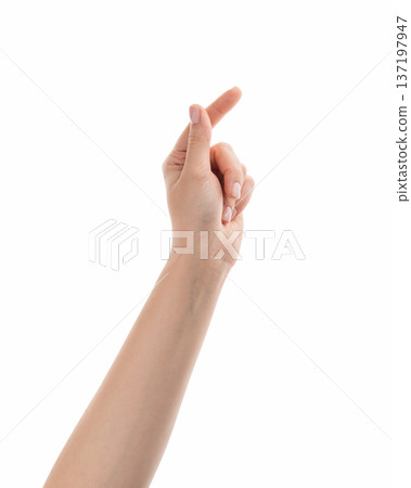 Young woman hand to hold business card or something thin isolated on white background 137197947