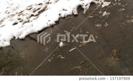 Sidewalk. Melting snow on the ground. Sidewalk. Melting snow on the ground. 137197989