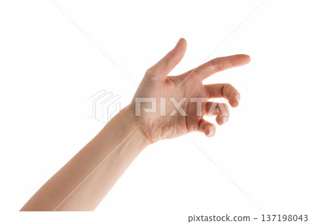 Young woman hand reaching or holding something isolated on white background Young woman hand reaching or holding something isolated on white background 137198043