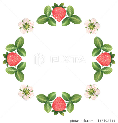 Simple wreath of stylized strawberry berries, flowers, and leaves. Round frame of individual elements. Hand-drawn watercolor illustration isolated on a white background. Ideal for children's products 137198144