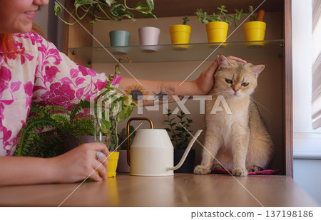 Young woman with beautiful houseplant in pot at home Young woman with beautiful houseplant in pot at home 137198186