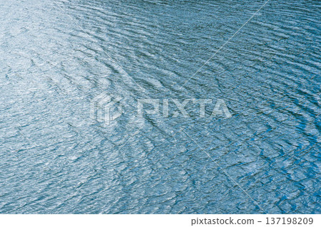 Winter lake water sparkle on the water surface 05 Winter lake water sparkle on the water surface 05 137198209