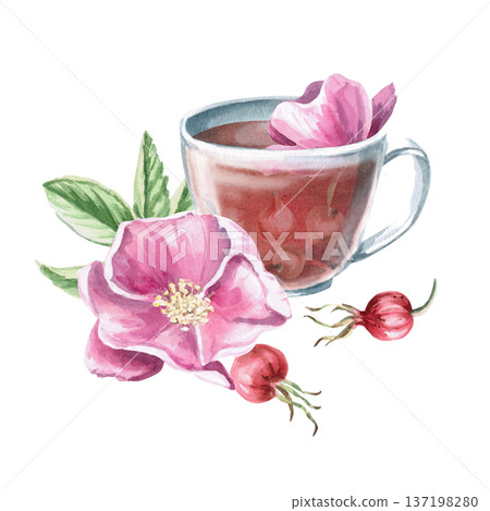 Watercolor illustration of rosehip drink in a cup with branches and flowers. Isolated illustration for designs related to natural products, healthy eating, spas, pharmacies, and eco-beauty. 137198280