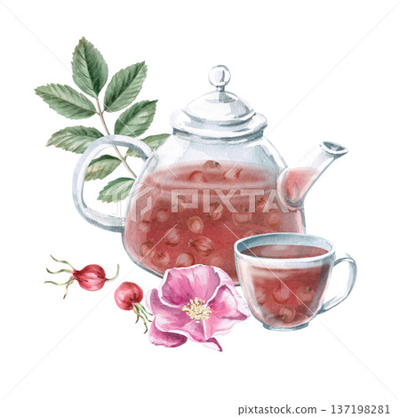 A watercolor illustration of rosehip tea in a teapot and cup with branches and flowers. Isolated illustration for designs related to natural products, healthy eating, spas, pharmacies, and eco-beauty. 137198281