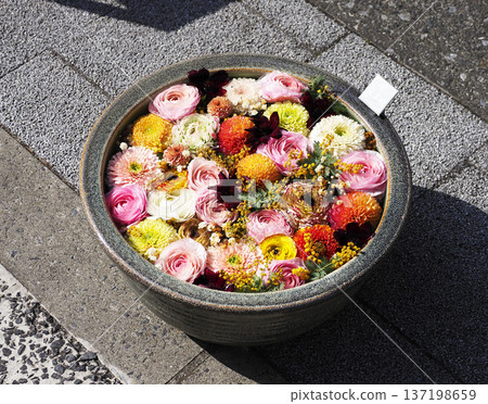 Flower Water Basin/Fukagawa Flower Water Basin 137198659