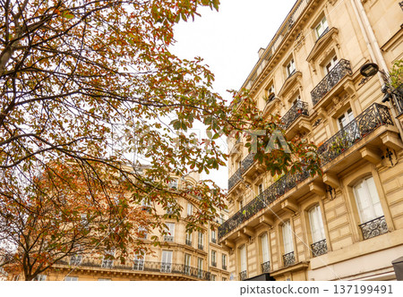 Haussmann architecture in Paris, France during autumn, with detailed balconies and changing tree leaves Haussmann architecture in Paris, France during autumn, with detailed balconies and changing tree leaves 137199491