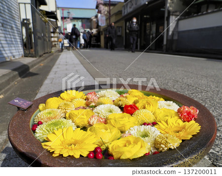 Flower Water Basin/Fukagawa Flower Water Basin 137200011