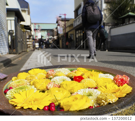 Flower Water Basin/Fukagawa Flower Water Basin 137200012