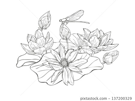 Lotus flowers and sitting dragonfly monochrome composition in black and white. Blooming water lily with leaves in pond vector isolated illustration for packaging, book covers, magazine 137200329