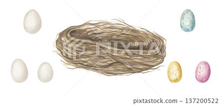 Bird nest and colored eggs clip art watercolor illustration on isolated background. Farm nest made of dried branches and small speckled egg. Decorative elements for spring Easter design. Bird nest and colored eggs clip art watercolor illustration on isolated background. Farm nest made of dried branches and small speckled egg. Decorative elements for spring Easter design. 137200522
