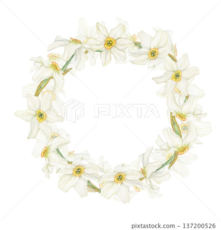 Blooming white daffodils watercolor wreath on isolated background. Hand drawn spring narcissus flowers with delicate petals and trumpet centers. Template for spring greeting card, Easter invitation. Blooming white daffodils watercolor wreath on isolated background. Hand drawn spring narcissus flowers with delicate petals and trumpet centers. Template for spring greeting card, Easter invitation. 137200526
