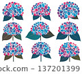 Multiple hydrangea flowers lined up in an array on a plain background 137201399