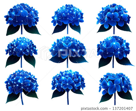 多朵繡球花整齊地排列在純色背景上 多朵繡球花整齊地排列在純色背景上 137201407