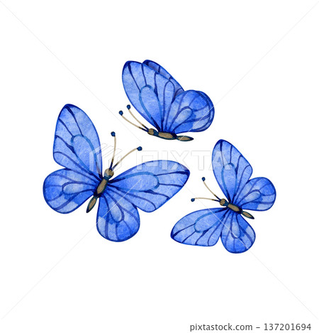 Hand-painted watercolor illustration of three vibrant blue butterflies in flight. These delicate, artistic insects feature detailed wing patterns and are perfect for nature-themed designs and spring 137201694