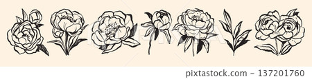 Peony doodle set, hand drawn line flowers, spring holiday Woman Day whimsical March illustration. Peony doodle set, hand drawn line flowers, spring holiday Woman Day whimsical March illustration. 137201760
