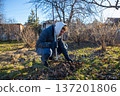 Young man squatting and raking fallen dry leaves in the garden during autumn or early spring. Farm work, harvest, cleaning, or gardening concept 137201806