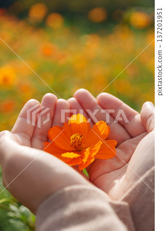 交出宇宙 137201951