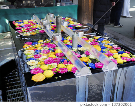 深川不動堂的花洗臉盆 深川不動堂的花洗臉盆 137202001