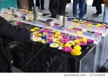 深川不動堂的花洗臉盆 深川不動堂的花洗臉盆 137202003