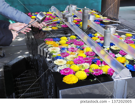 Fukagawa Fudodo's flower wash basin 137202005