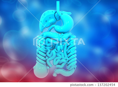 Human internal Organs on blue background 137202454