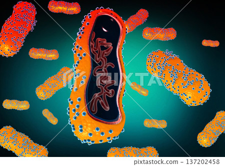 Virus ,bacteria anatomy. scientific background 137202458