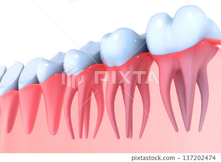 Tooth anatomy 137202474