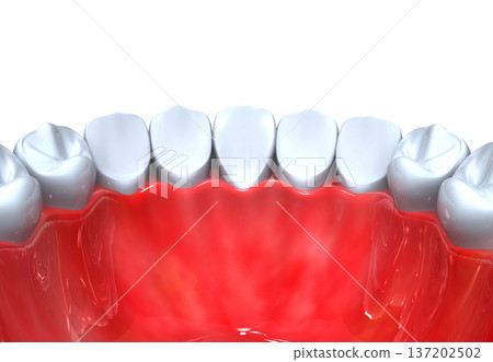 Tooth anatomy Tooth anatomy 137202502