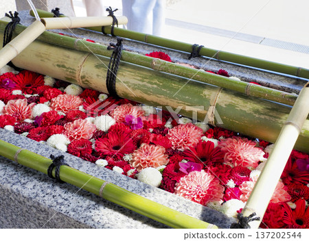 Flower water fountain at Tomioka Hachimangu Shrine, Koto Ward 137202544