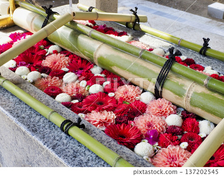 富岡八幡宮神社花水噴泉,江東區 富岡八幡宮神社花水噴泉,江東區 137202545