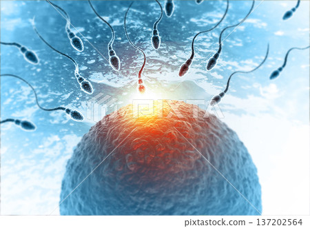 Sperm with egg on abstract medical background 137202564