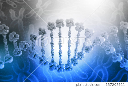 DNA strands on science background 137202611