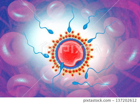 Sperm and egg cell on Scientific background Sperm and egg cell on Scientific background 137202612