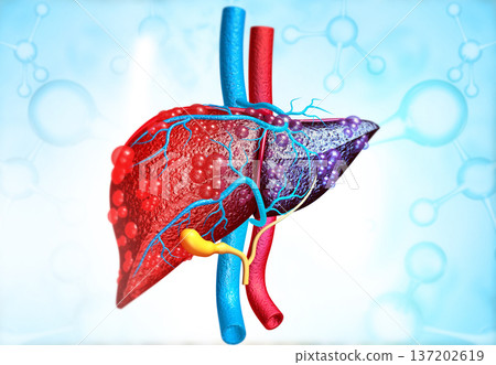 3d illustration of Abstract medical background with Diseased liver 3d illustration of Abstract medical background with Diseased liver 137202619