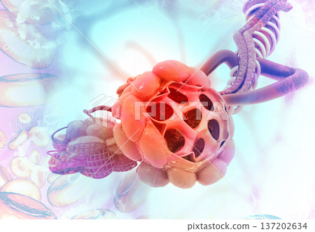 lungs alveoli on medical background 137202634