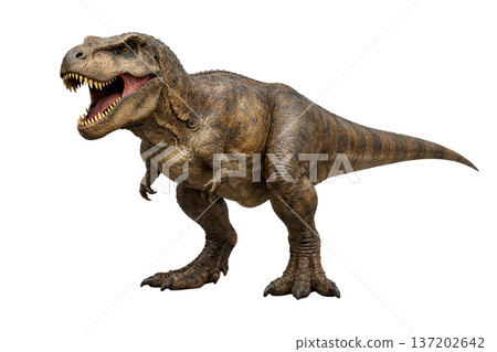 霸王龍圖片素材 137202642