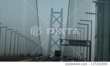 Huge suspension bridge 137202800