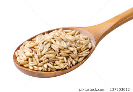 Oat grains in a wooden spoon on a white background. Isolated Oat grains in a wooden spoon on a white background. Isolated 137203012
