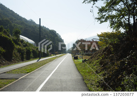 Han River bike path 137203077