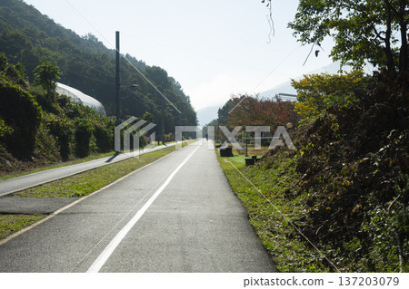 Han River bike path 137203079