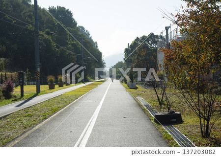 Han River bike path 137203082