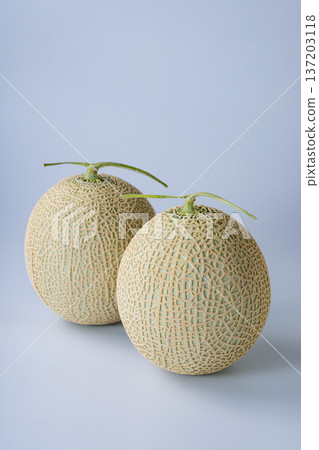 面膜甜瓜 137203118