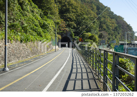 Han River bike path 137203262